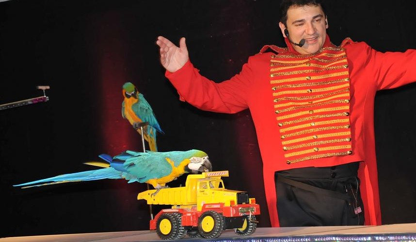 circusshow